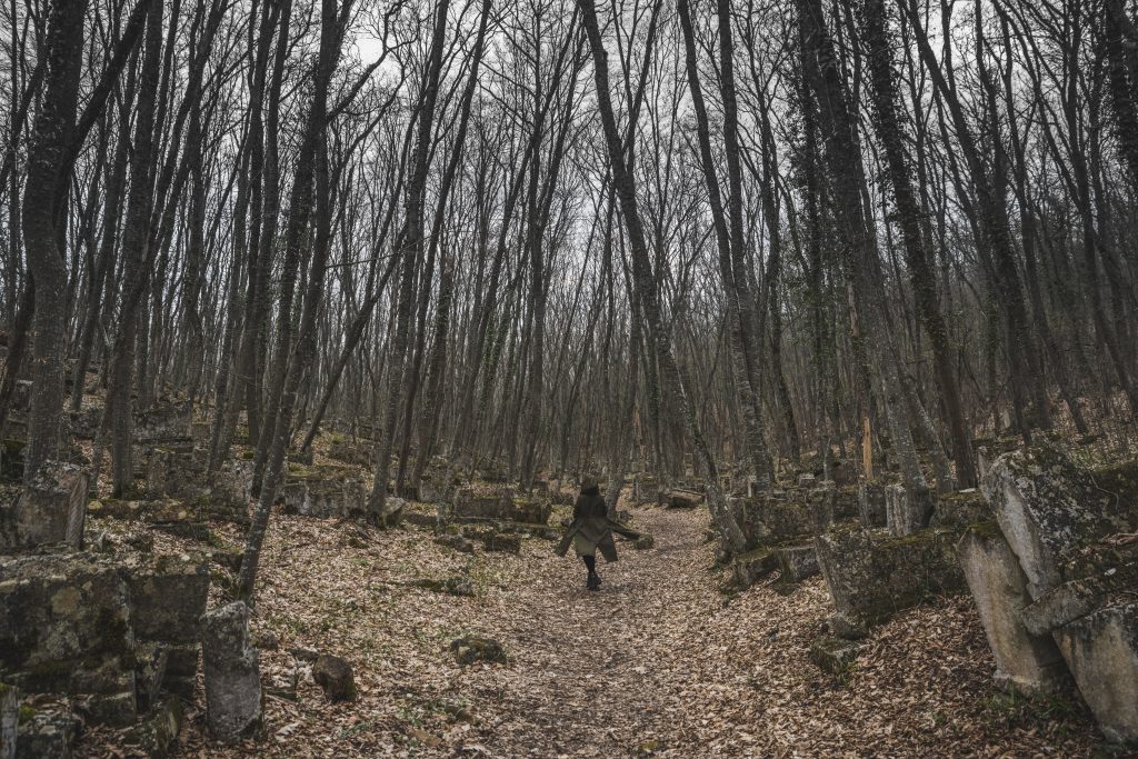 Person walking in an old cemetery, which is baron and unkept, surrounded by dense forest.